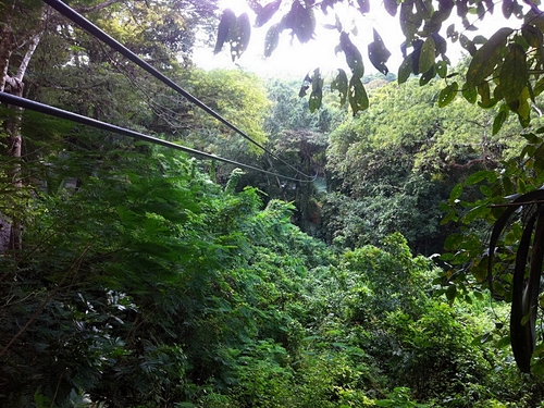 Ocho Rios dunns river falls Excursion Prices