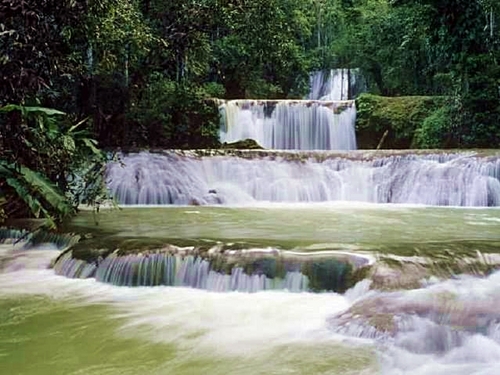 Ocho Rios zipline Shore Excursion Prices