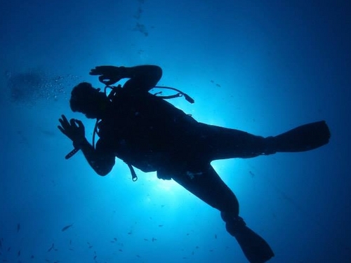 St Maarten PADI diving Cruise Excursion Booking