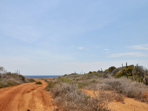 Curacao  Willemstad Boka Pistol Trip Cost