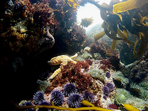Ensenada  Mexico lunch Booking