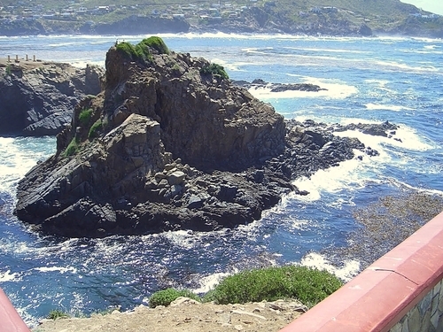 Ensenada Mexico Geyser Cruise Excursion Cost