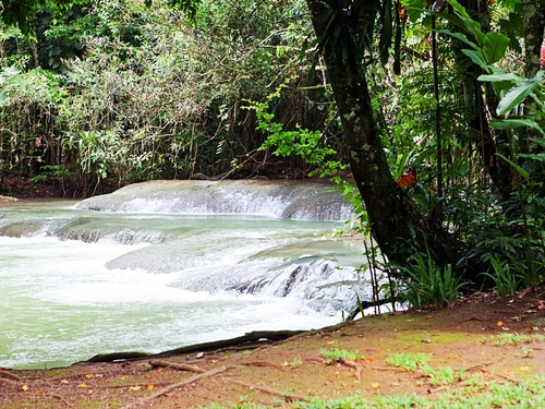 Ocho Rios blue hole Excursion Prices