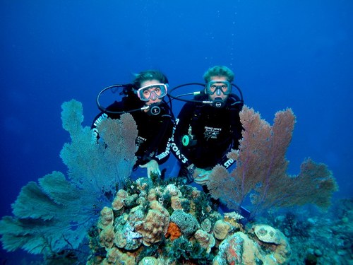 Nassau perfect for all divers Cruise Excursion
