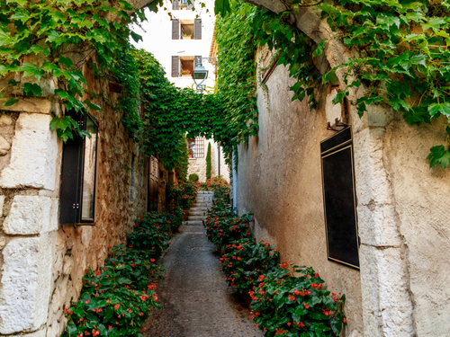 Monte Carlo Antibes Excursion Reviews