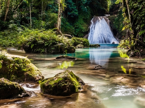 Falmouth river kayaking Tour Booking