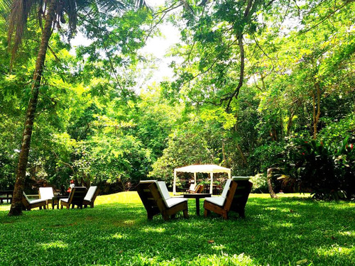 Falmouth Dunn's River Falls Excursion with Cocktails and Lunch at Reggae Hill