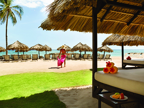 Falmouth Jamaica Beach Day Pass Excursion Reservations