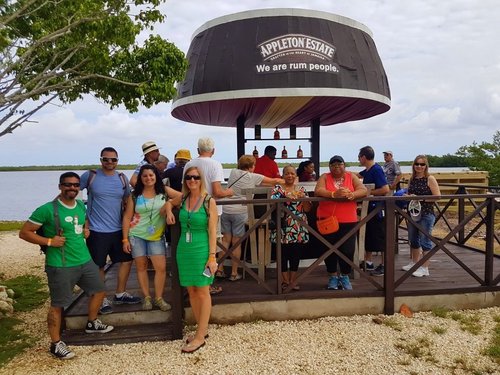 Falmouth Jamaica Martha Brae mangrove kayak Cruise Excursion Reviews