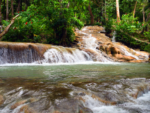 Falmouth Jamaica Ocho Rios highlights Sightseeing Trip Booking