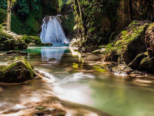 Falmouth River tubing Cruise Excursion Reviews