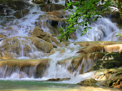 Falmouth Jamaica waterfall climb Sightseeing Excursion Prices
