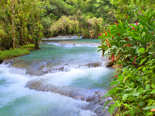 Falmouth Jamaica waterfall climb Sightseeing Trip Reservations