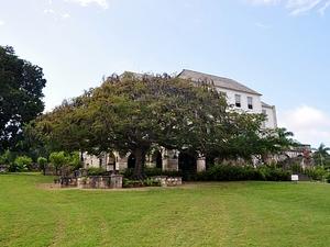 Falmouth Rose Hall Great House, Montego Bay City Sightseeing, Shopping, and Dr. Cave Beach Excursion