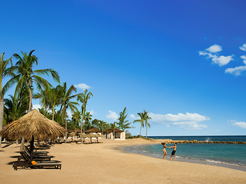 Falmouth Jamaica Swim Up Bar Shore Excursion Prices