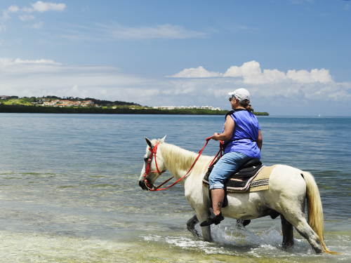 Roatan downtown Cruise Excursion Reservations