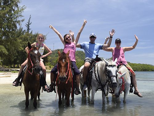 Roatan parrot tree Trip Booking