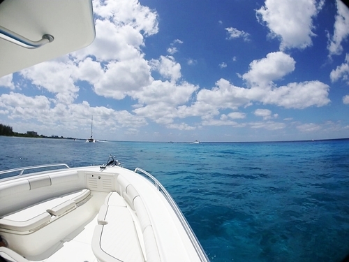 Cozumel passion island Shore Excursion Prices