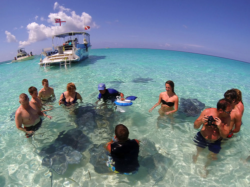 Grand Cayman coral barrier reef snorkel Booking