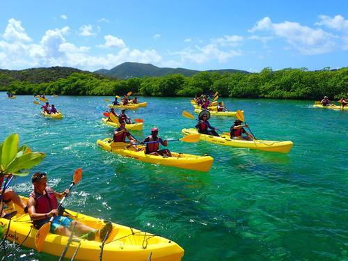 Virgin Islands manglar reef Tour Tickets