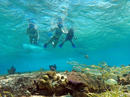 Cozumel sandbar Excursion Reservations