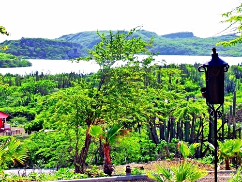 Curacao shete boka park Trip Reviews