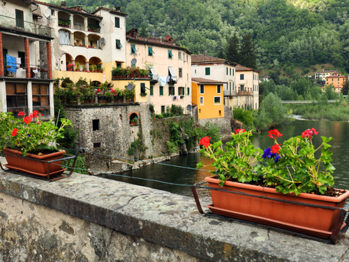 Florence Fresh Pasta Cooking Tour Reviews