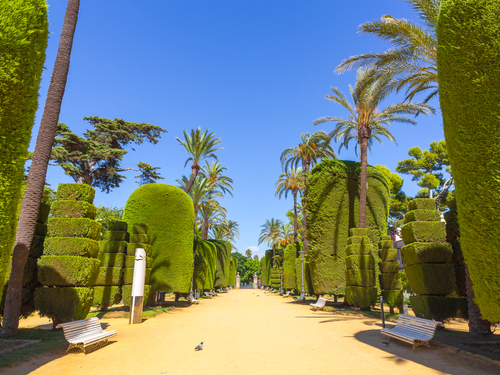 Cadiz Spain sightseeing Shore Excursion Prices