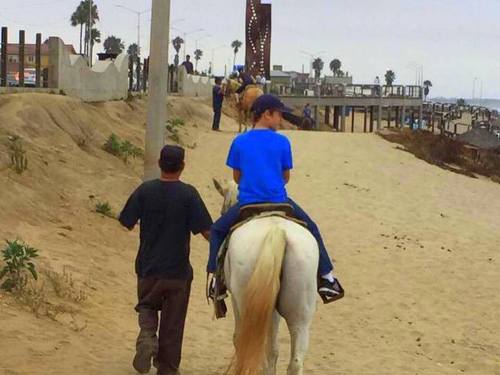 Ensenada combo excursion Trip