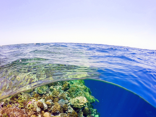 Fort Lauderdale key west Tour Prices