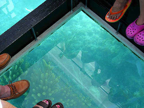 Fort Lauderdale  Florida key west on your own Tour Reservations