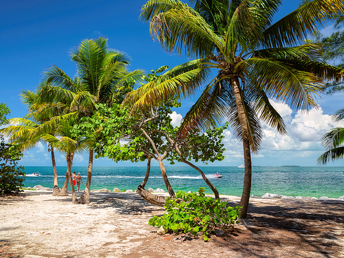 Fort Lauderdale  Florida key west self guided Cruise Excursion Reservations
