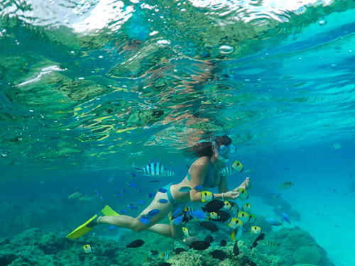 Freeport Bahamas Deadmans Reef Day Pass Trip Booking