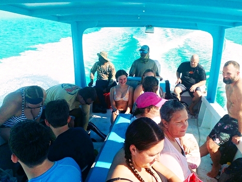 Freeport Turtle Park Shore Excursion Cost