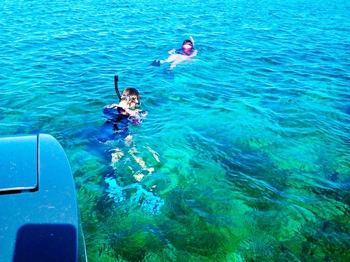 Freeport Bahamas Snorkel Tour Reviews