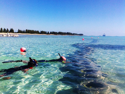 Freeport Bahamas Snorkeling Day Pass Trip Reviews