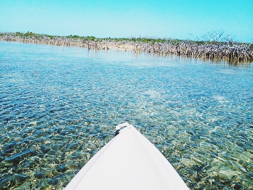 Freeport kayak and snorkel Excursion Tickets