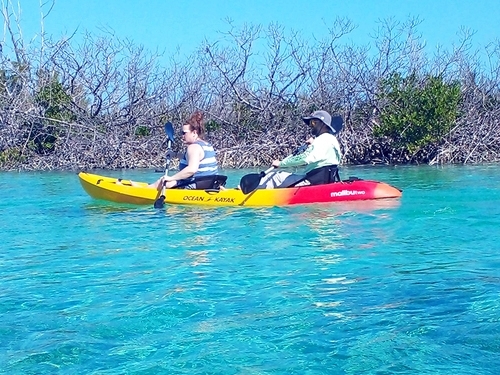 Freeport  Bahamas snorkeling Cruise Excursion Prices