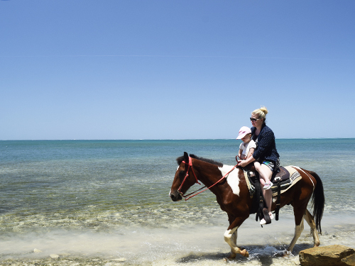 Roatan downtown Cruise Excursion Reviews
