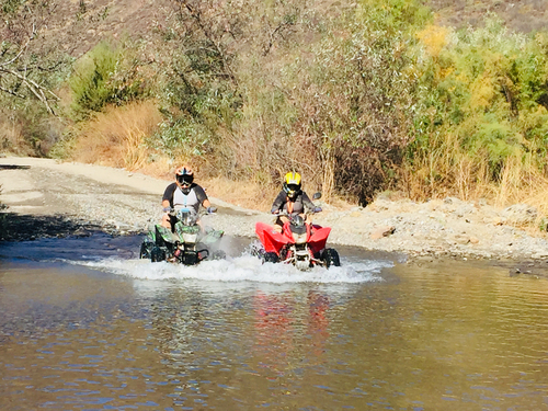 Ensenada drinks  Excursion Reservations