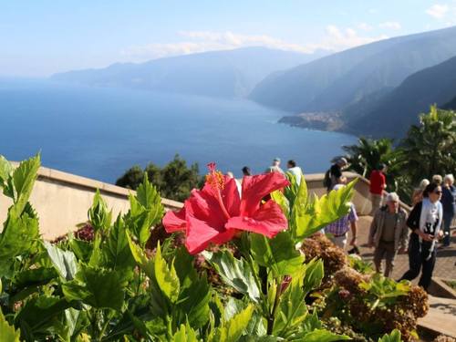 Funchal  Portugal Ginjas Safari Excursion Prices