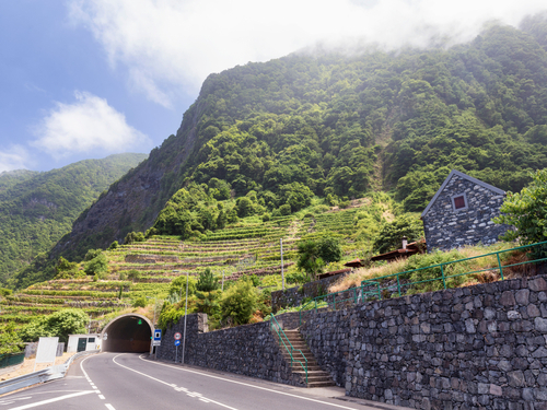 Funchal Fanal Safari Cruise Excursion Tickets