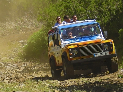 Funchal  Santo da Serra 4x4 Tour Cost
