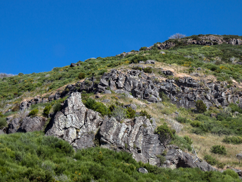 Funchal Seixal Safari Shore Excursion Booking