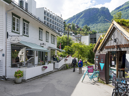 Geiranger Hotel Union Sightseeing Tour Reviews