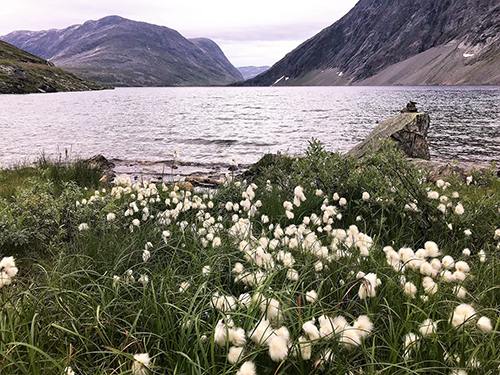 Geiranger Geirangerfjord Sightseeing Shore Excursion Prices