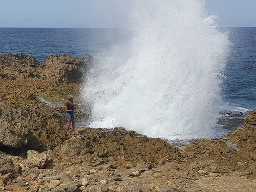 Curacao  Willemstad Boka Tabla Excursion Tickets