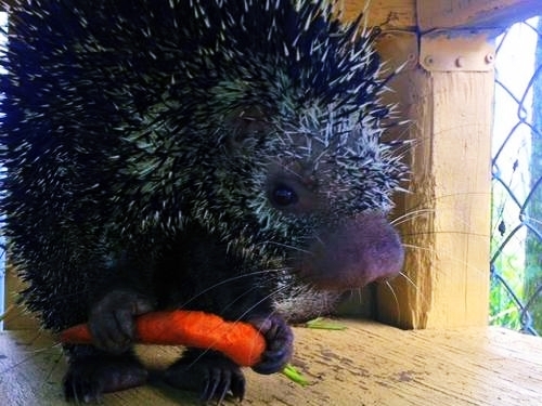 Fort Lauderdale  Florida wildlife Excursion Reviews