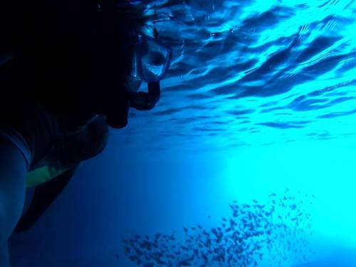 Curacao snorkel Shore Excursion Prices