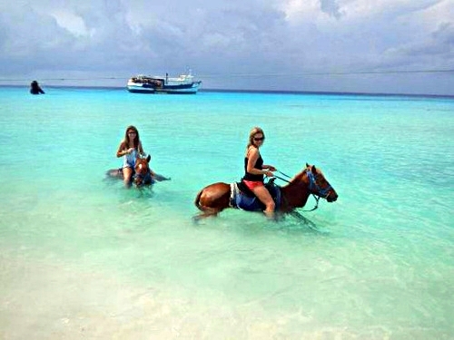 Turks and Caicos swim with horse Trip Reviews